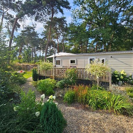 Luxe 4 Persoons Chalet Op 5 Sterren Camping Raalte Zewnętrze zdjęcie